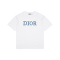 Dior DIOR Powder Blue Chenille Letter Embroidered Short Sleeve Tee – White